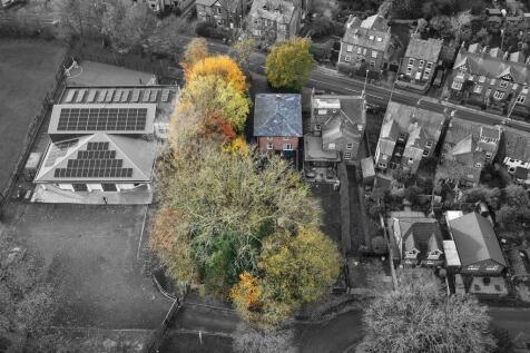 Brightness_Contrast 1-11.jpg