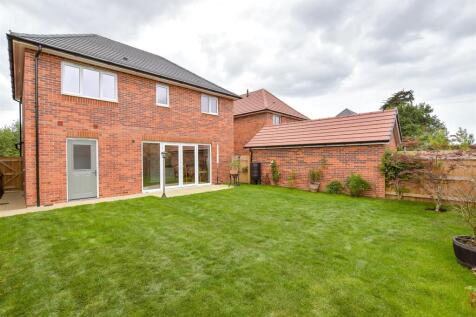 Rear Garden (Original)