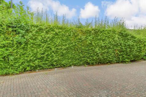 Driveway/Parking