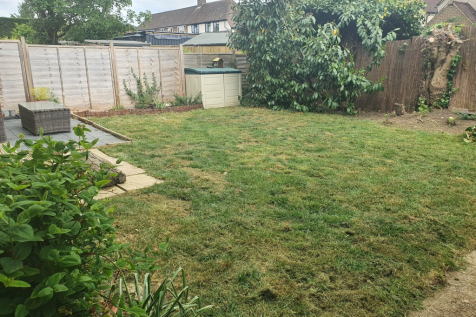Rear Garden May