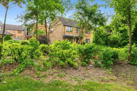 Property Image 16