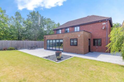 Property Image 16