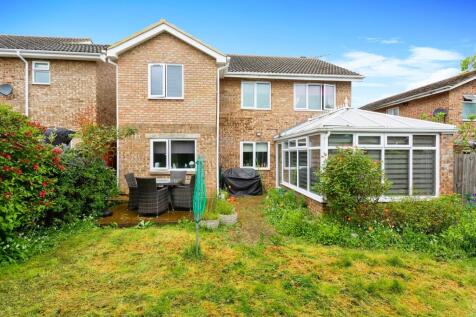 Property Image 14