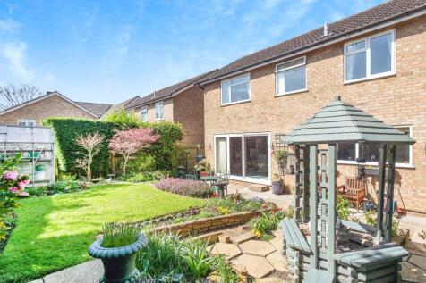 Property Image 15