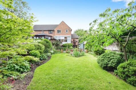 Property Image 16