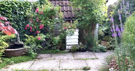 Property Image 22