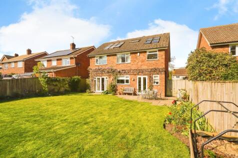Property Image 16