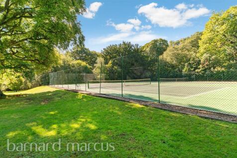 Property Image 14