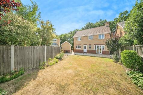 Property Image 15