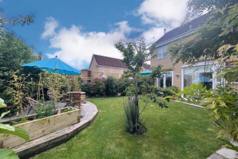 Property Image 14