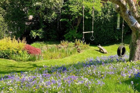 29th April 2025 - Flower Garden2.jpg