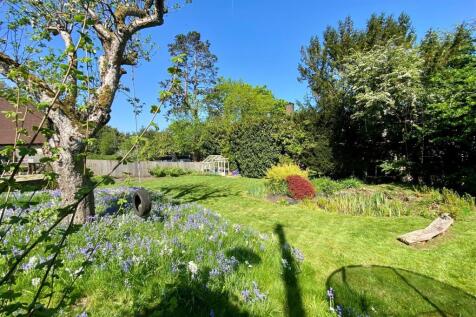 29th April 2025 - Garden Looking West.jpg
