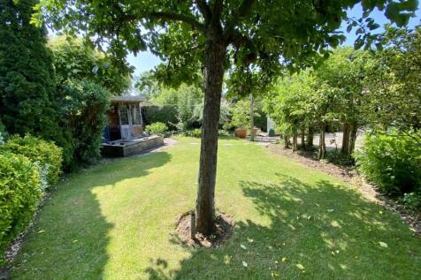 Garden &amp; Tree