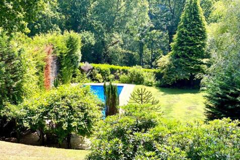 Garden &amp; Pool
