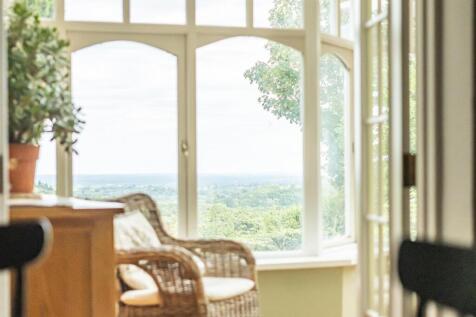 Tree Tops View