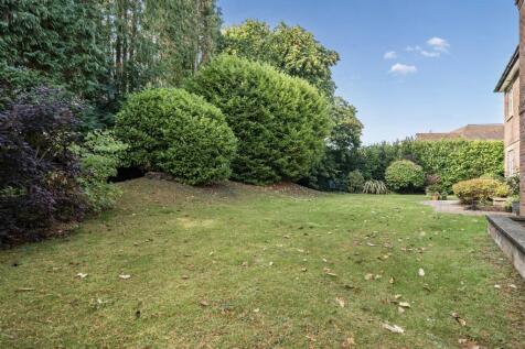 Garden.jpg