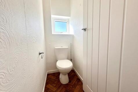 Dolphins wc