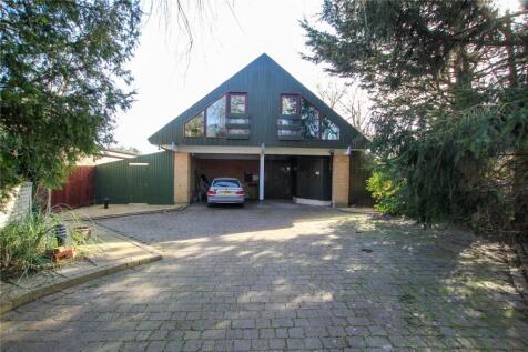 Front Aspect.