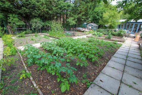 Rear Garden.