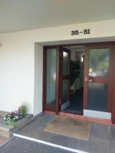 Picture No. 33