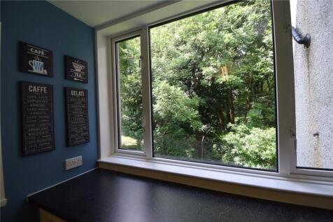 Kitchen View 2