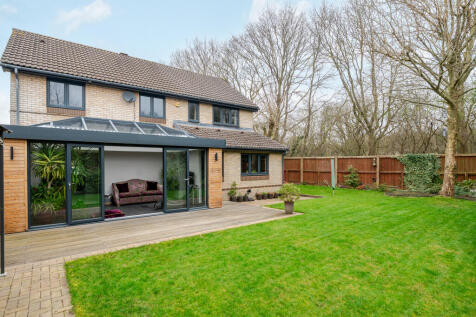 Property Image 13