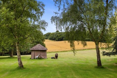 Property Image 13