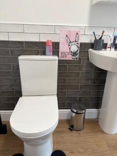 WhatsApp Image 20...