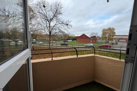 WhatsApp Image 20...