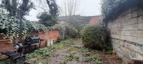 WhatsApp Image 20...