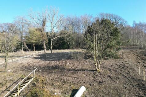 rear garden 3.jpg