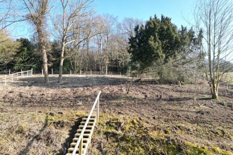 rear garden 4.jpg