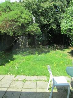 garden.JPG