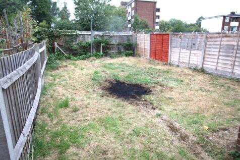 Garden.JPG