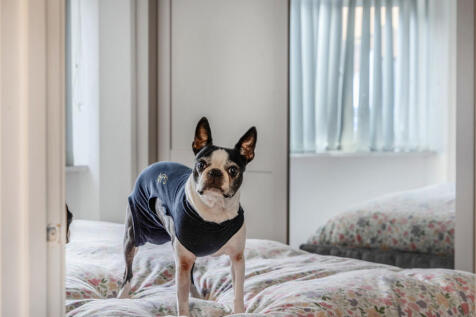 1383352-21-6929d0...