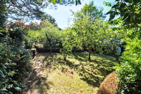 Fruit trees