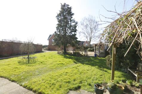 Garden 4.JPG