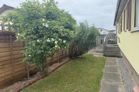 Garden 4.jpg