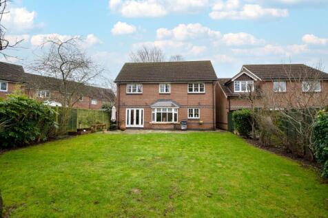 Property Image 16