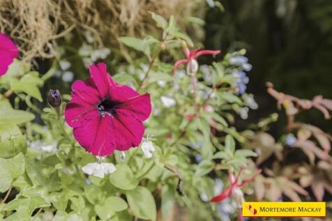 45_57105_watermarked.jpg