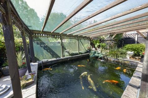 pond