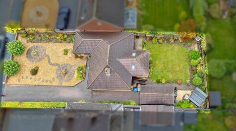 DJI_0388 copy 2.jpg