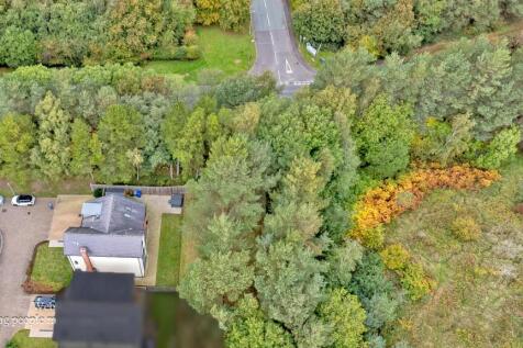 new DJI_0504 copy.jpg