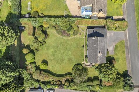 DJI_0010.jpg