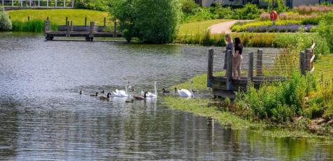 GREEN PARK VILLAGE