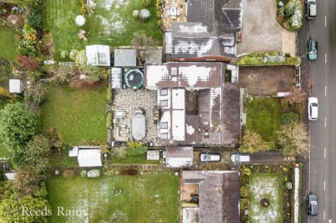Plot View