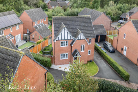 Aerial Shot