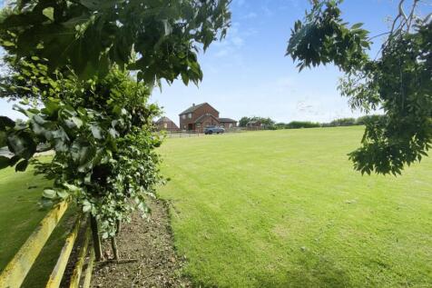 Garden/Pony Paddock