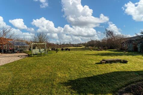 Sunny Aspect