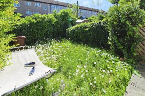 External Rear Garden